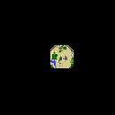 map 259