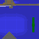 map 307