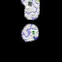map 79