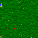 map 955