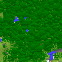map 990